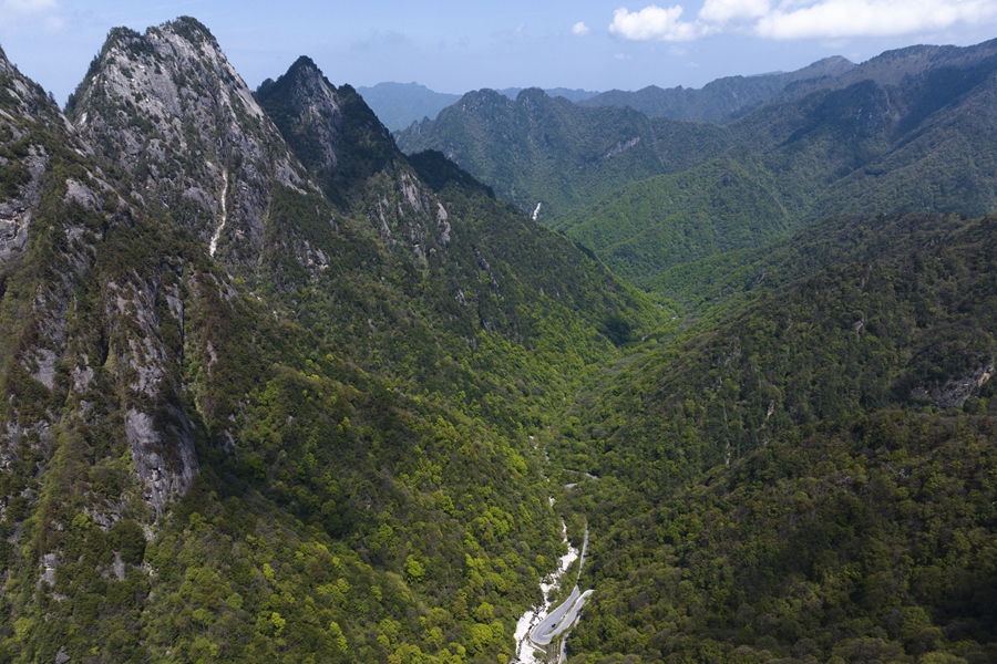 學習進行時丨“綠水青山就是金山銀山”——習近平推動生態環境保護的故事