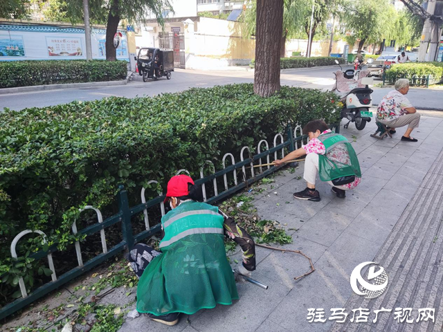 駐馬店經濟開發區：精心呵護苗木 美化城市“綠帶”