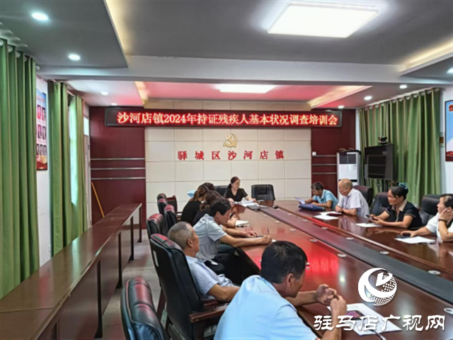 驛城區沙河店鎮：走訪入戶細致排查 精準服務殘疾群體