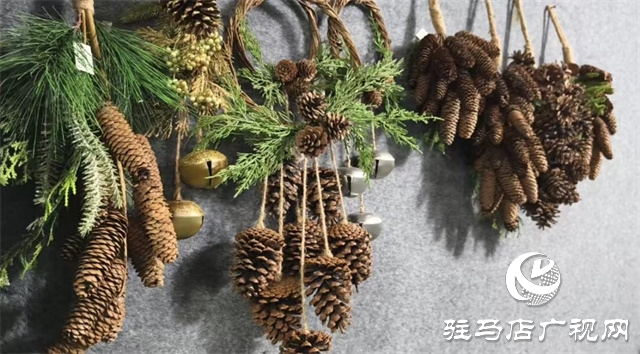 驛城區沙河店鎮：特色產業激活鄉村振興新動能