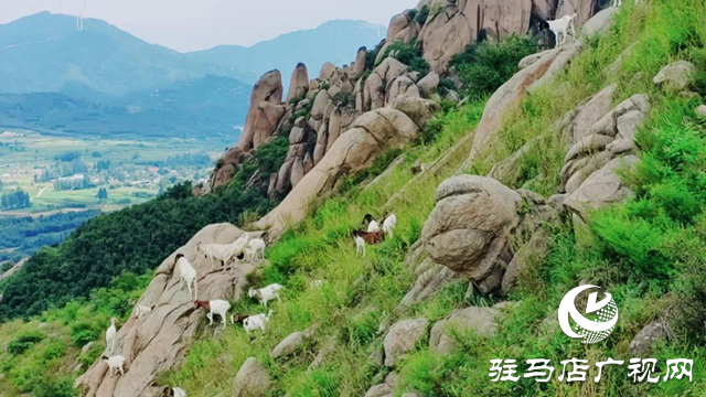 泌陽縣蛤蟆山：風光旖旎如畫