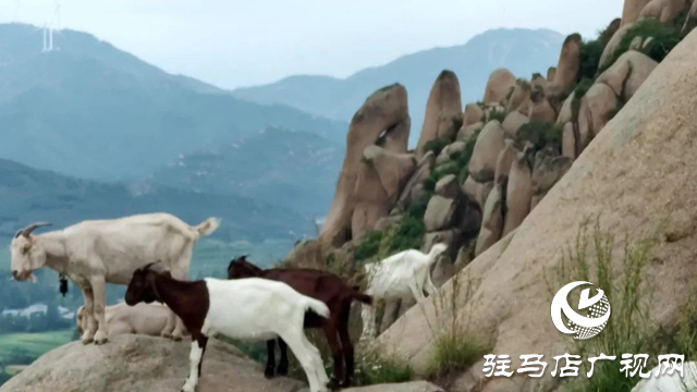 泌陽縣蛤蟆山：風光旖旎如畫