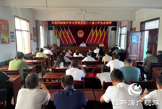 確山縣石滾河鎮：學深悟透全會精神 以知促行強化責任擔當