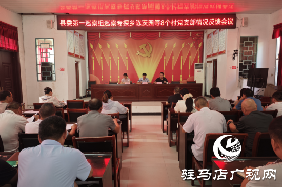 西平縣：專項巡察促整改 提升鄉村治理效能