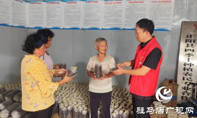 駐馬店市農科院專家到正陽縣開展食用菌技術服務