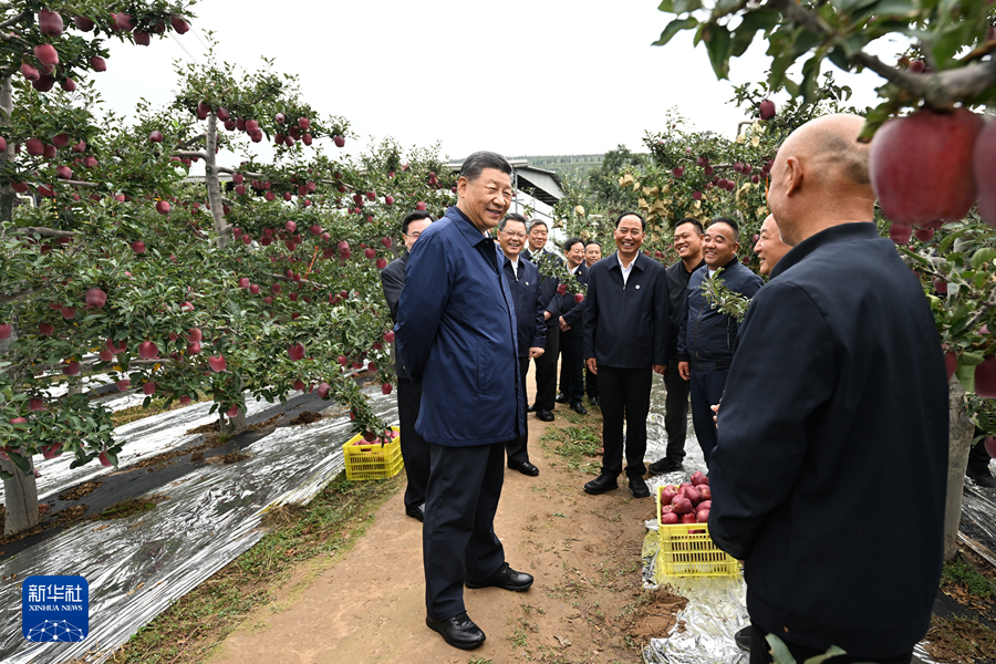 習近平在甘肅考察時強調 深化改革勇于創新苦干實干富民興隴 奮力譜寫中國式現代化甘肅篇章