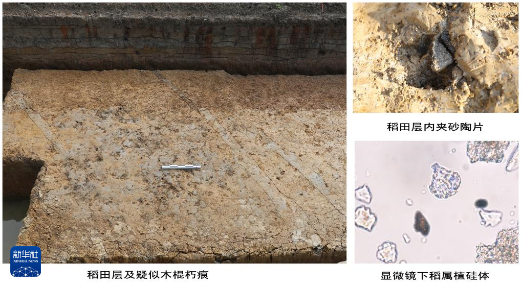 聚焦史前和夏文化重要考古發現 國家文物局通報3項考古最新進展