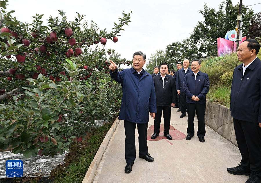 習近平在甘肅考察時強調 深化改革勇于創新苦干實干富民興隴 奮力譜寫中國式現代化甘肅篇章