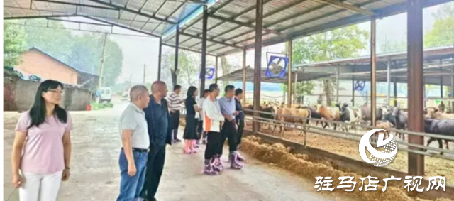 確山：專家齊聚 支招肉牛產業發展