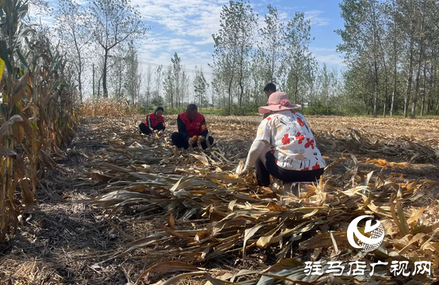 新蔡縣佛閣寺鎮：金秋助農收獲解民憂