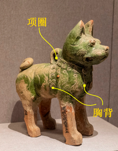 在河南博物館，古人申請和你交換一張小狗照片