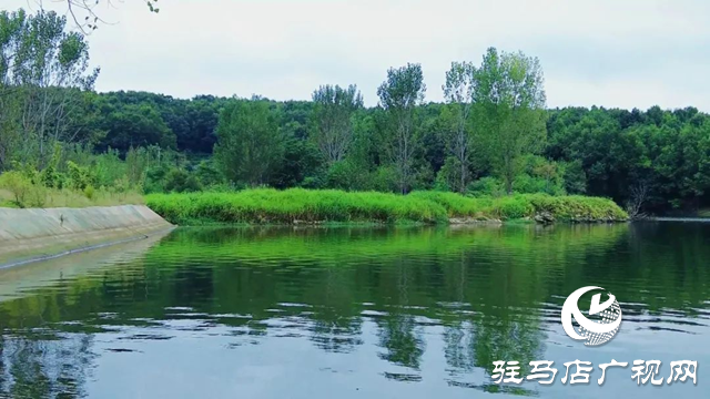 泌陽縣黃山口鄉：秋色如畫 醉了人間