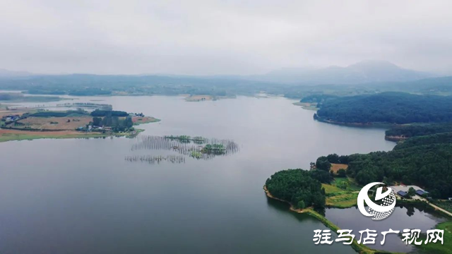 泌陽縣黃山口鄉：秋色如畫 醉了人間