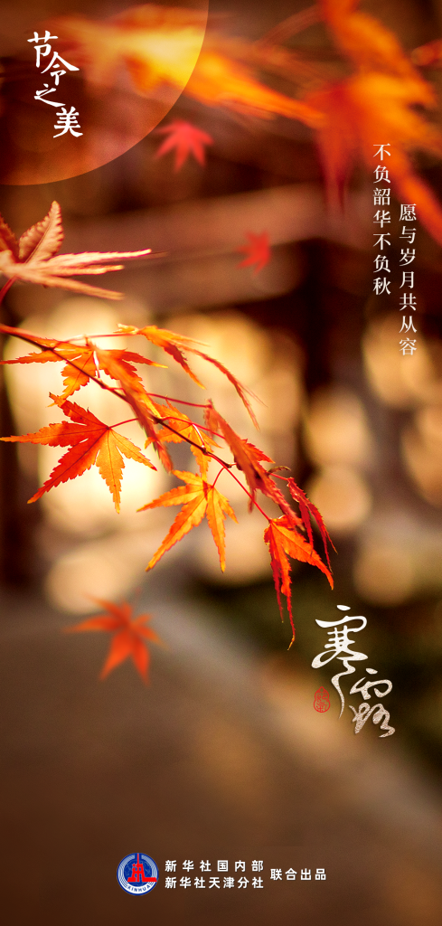 節令之美｜8日3時00分寒露：開門忽驚嘆，秋色已如許