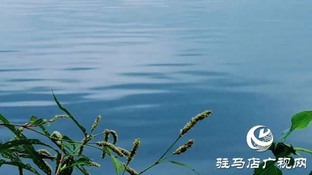 泌陽縣黃山口鄉：秋色如畫 醉了人間