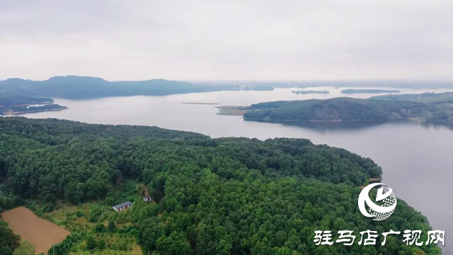 泌陽縣黃山口鄉：秋色如畫 醉了人間