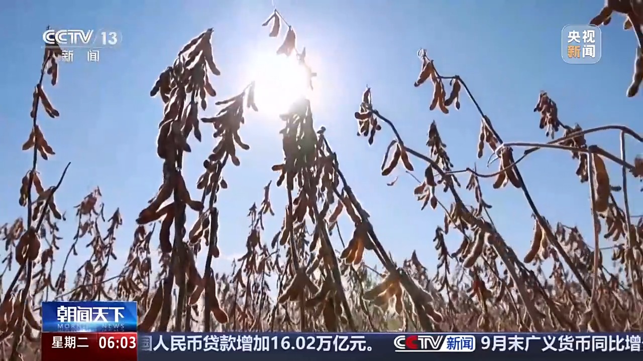 全國秋收過六成 秋種陸續展開