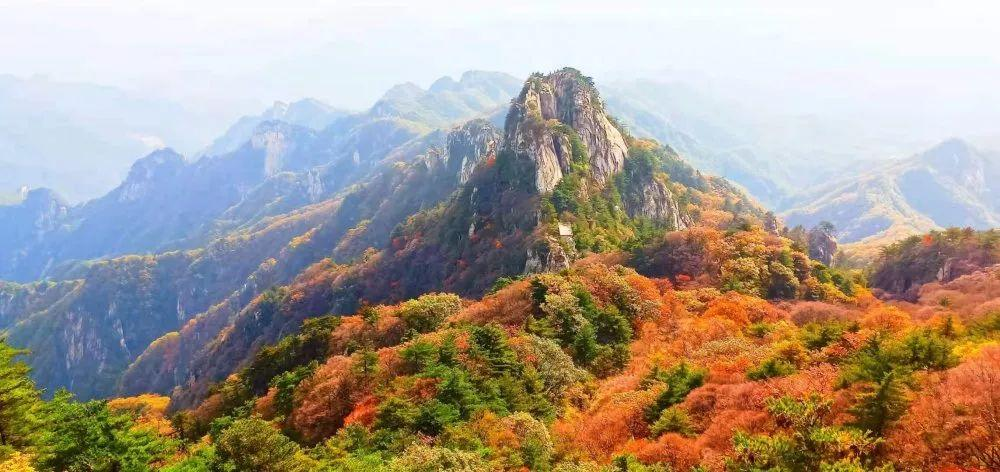 河南紅葉進入最佳觀賞期！這10個景點，周末推薦帶娃去！