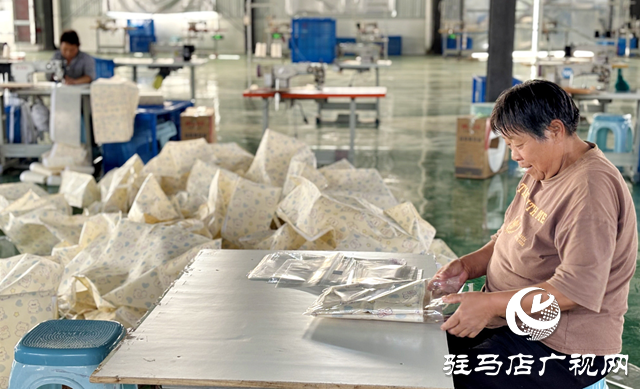 平輿縣：黨建“雙提升”引來富民產業興