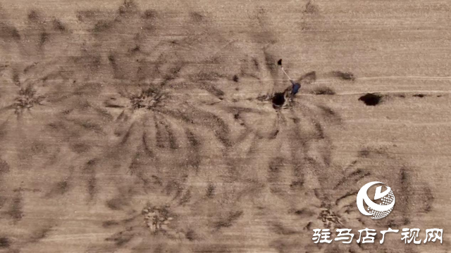 正陽縣：畜禽糞污資源化利用助推綠色種養循環農業高質量發展