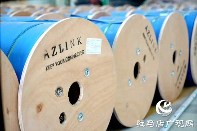 新蔡縣：電子信息產業集聚成“群” 增添發展新動能