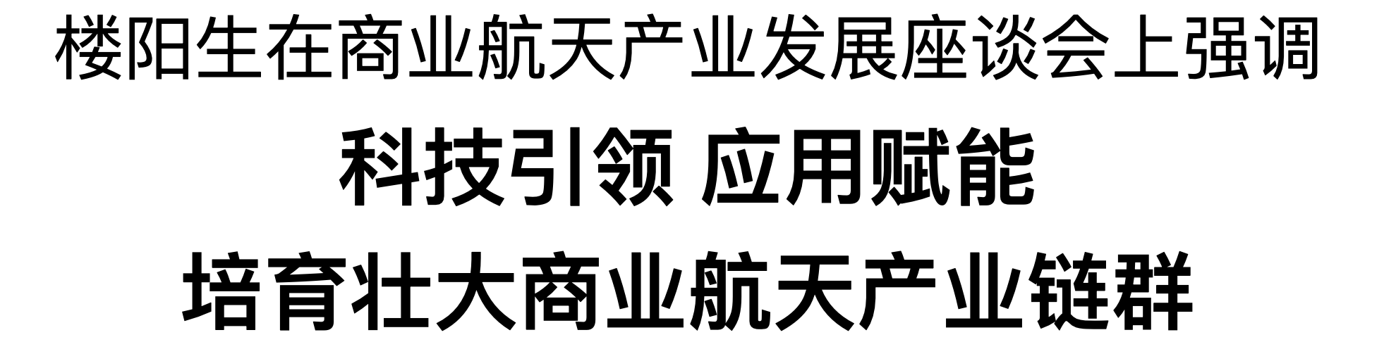 樓陽生主持召開商業航天產業發展座談會