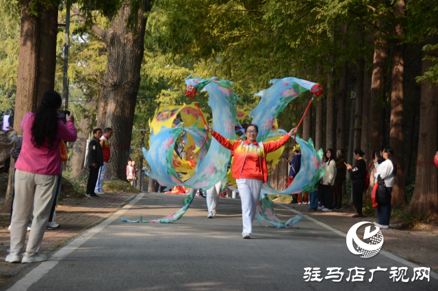 泌陽縣開展“文藝進萬家”進鄉村 進景區惠民展演活動