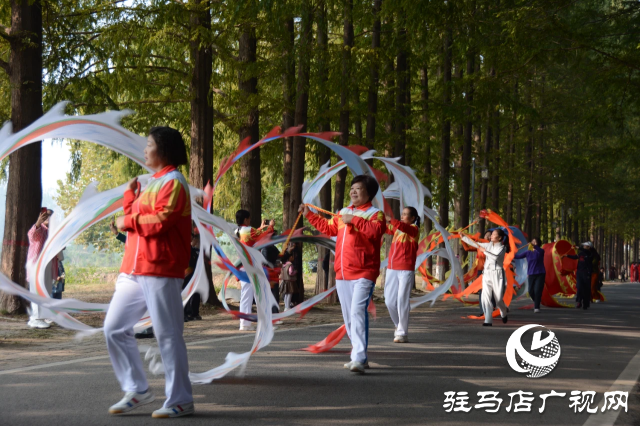 泌陽縣開展“文藝進萬家”進鄉村 進景區惠民展演活動