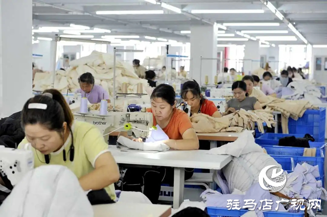 新蔡縣：優化營商環境 厚植企業發展沃土
