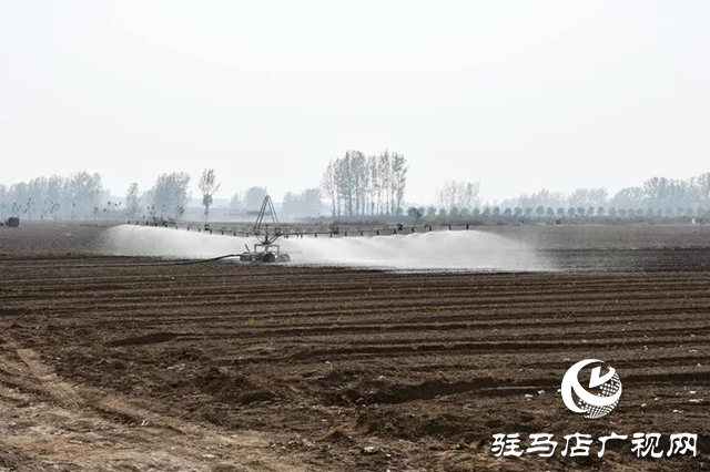 遂平縣：實施節水灌溉 全力補水保苗