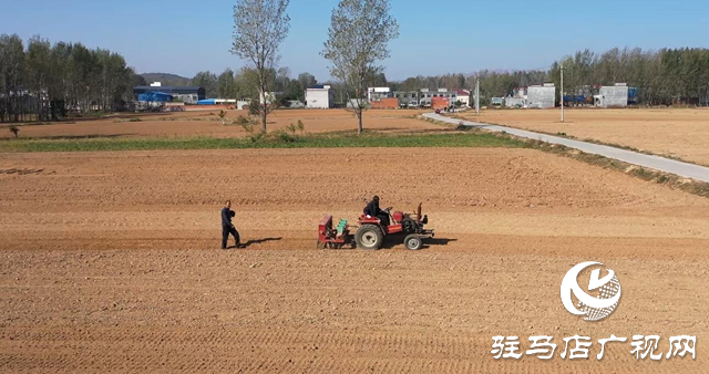 泌陽縣黃山口鄉：秋播忙 黨旗紅