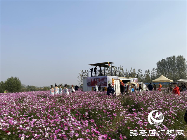 驛城區諸市鎮魏莊天邊花海盛大開園