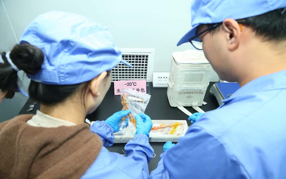 共55種、總重約34.6公斤 空間站第七批空間科學實驗樣品隨神十八返回