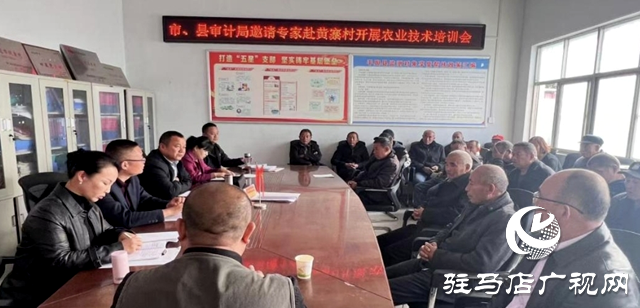 平輿縣辛店鄉：良種良田配良技豐產增收靠科技