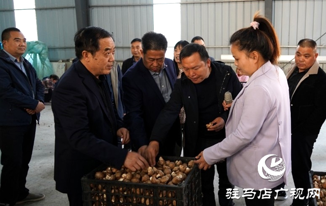 信陽市息縣政協到泌陽縣考察食用菌產業發展情況