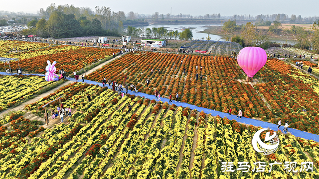 驛城區諸市鎮魏莊村：天邊花海醉游人