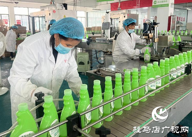 駐馬店：電商企業發力“雙11” 激發市場消費活力