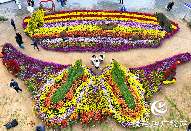 驛城區諸市鎮魏莊村：天邊花海醉游人