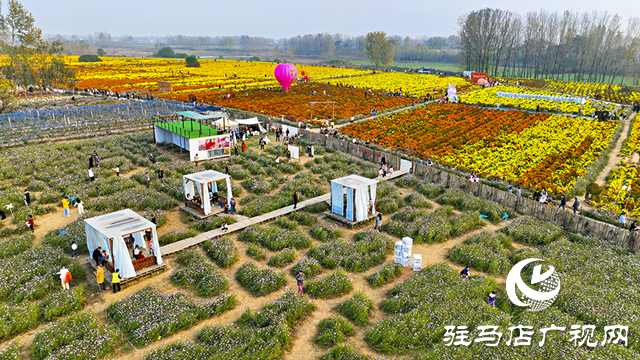驛城區諸市鎮魏莊村：天邊花海醉游人