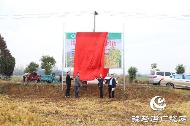 確山縣留莊鎮粳稻新品種種植示范基地揭牌