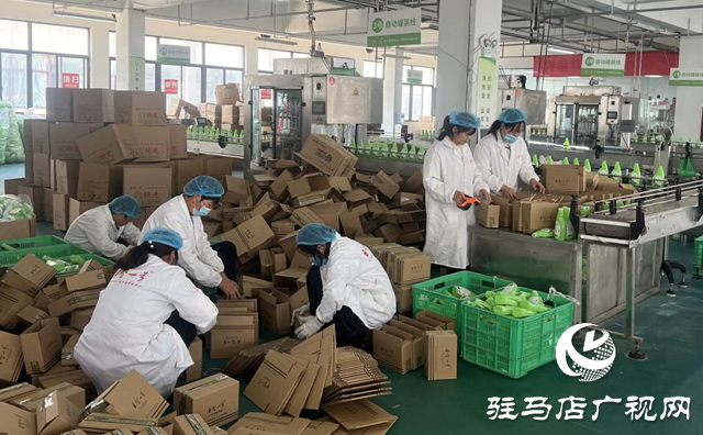 駐馬店：電商企業發力“雙11” 激發市場消費活力