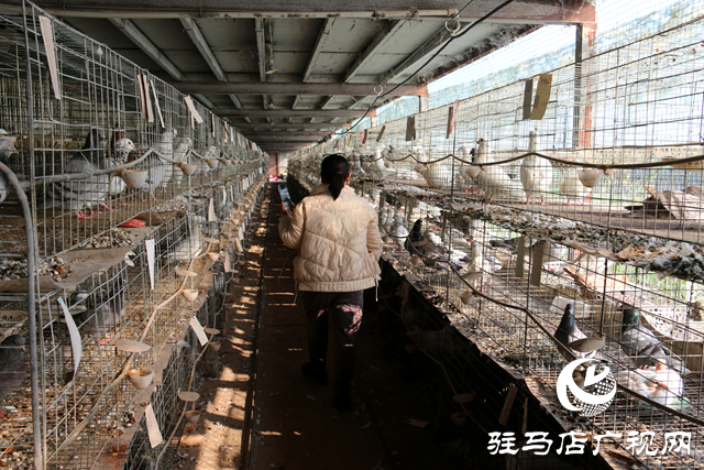 確山縣朗陵街道：黨建引領“巾幗”紅 蓄力賦能促振興