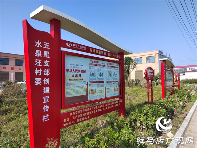 西平縣專探鄉水泉汪村：聚焦“五星”支部創建 繪就鄉村振興新畫卷