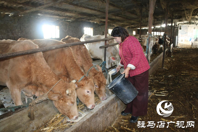 確山縣朗陵街道：黨建引領“巾幗”紅 蓄力賦能促振興