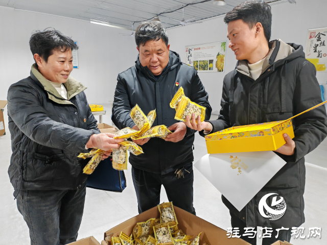 平輿縣廟灣鎮大楊村：金絲皇菊鋪就鄉村振興“致富路”