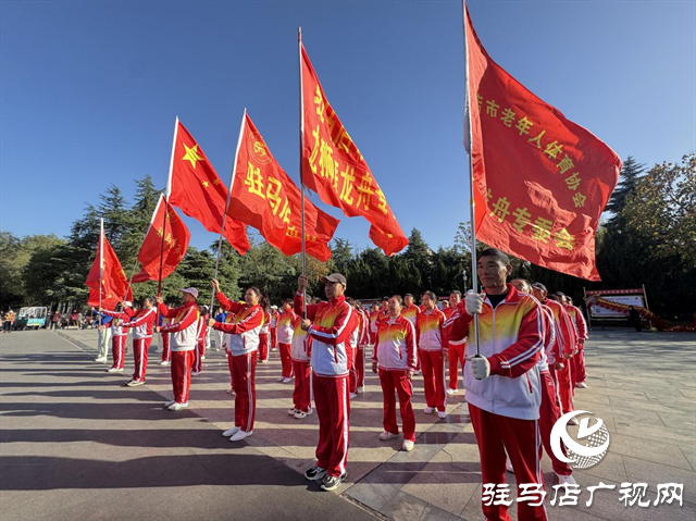 驛城區：體育盛宴點燃冬日激情