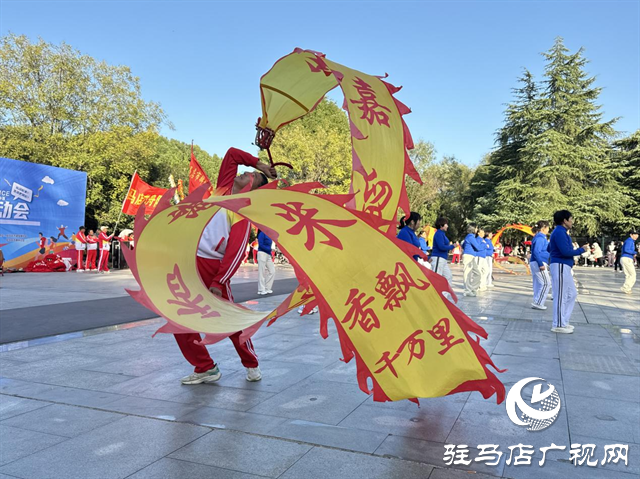 驛城區：體育盛宴點燃冬日激情