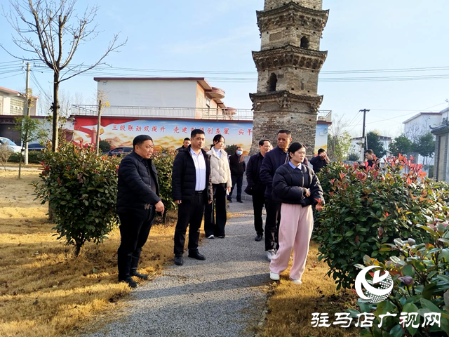 平輿縣李屯鎮：黨建引領“雙提升” 比學趕超“建三園”