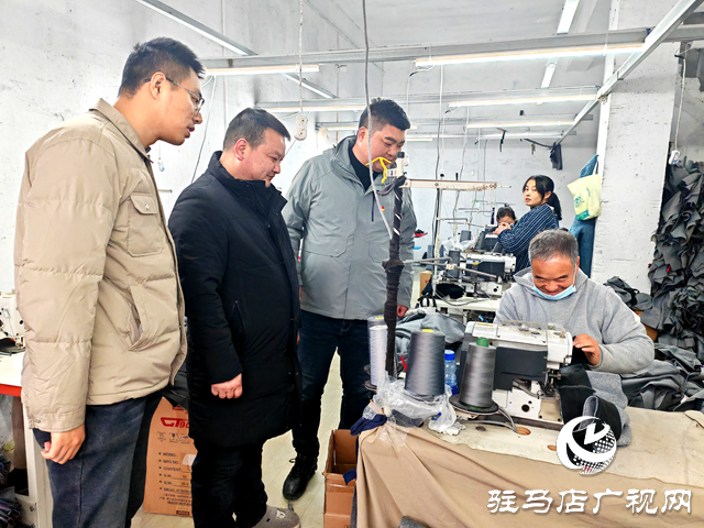 平輿縣辛店鄉辛店村：推動農村黨建“雙提升” 加速鄉村振興“新引擎”