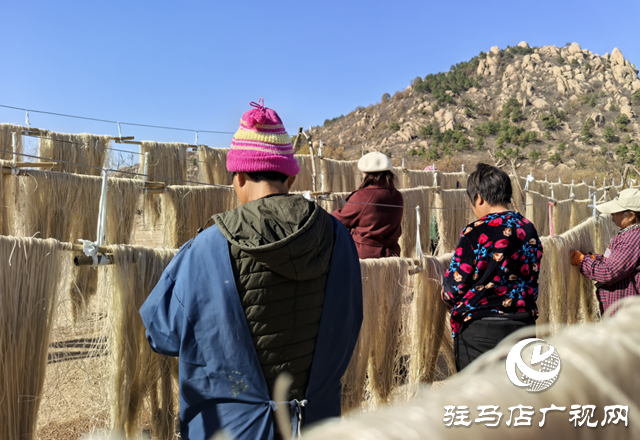 驛城區板橋鎮：冬閑人不閑 紅薯粉條加工忙